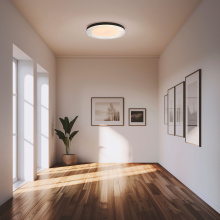 9518-20 SNB-CLR_5.jpg